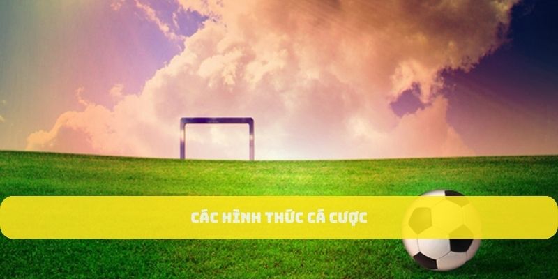 Các dạng cược tại sảnh thể thao JUN88