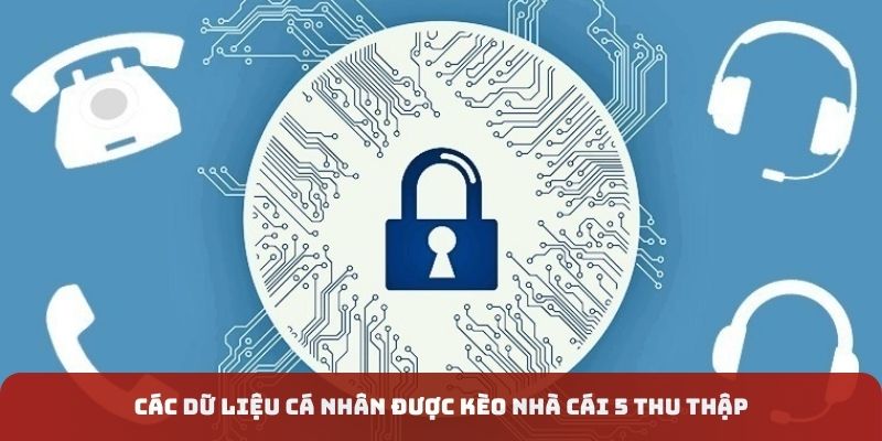 Các dạng dữ liệu được kèo nhà cái 5 thu thập