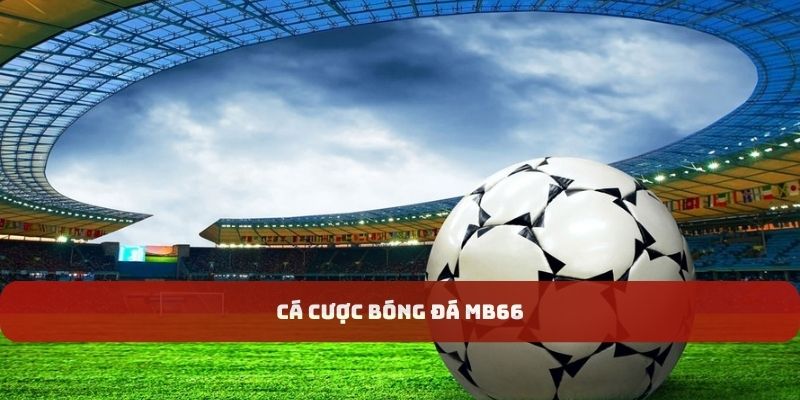 Các loại cược phổ biến trong sảnh game