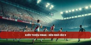 Giới thiệu MB66