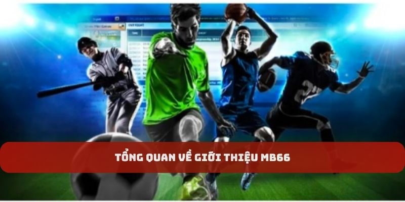 Giới thiệu MB66 về sảnh cược thể thao