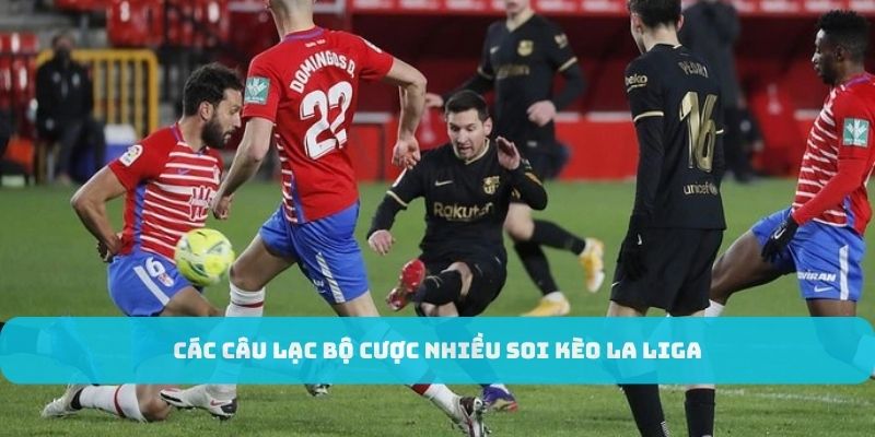 Những đội bóng được yêu thích tại giải đấu