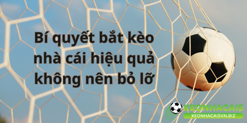 Bí quyết bắt kèo nhà cái hiệu quả không nên bỏ lỡ