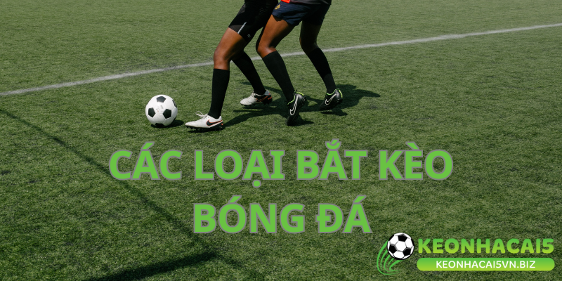 Cá cược bóng đá có đa dạng kèo